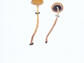 Psilocybe squamosa  (Pers.:Fr.) P.D.Orton , Schuppiger Träuschling , Schuppiger Klebkopf ,  NPH