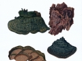 Phellinus pinii (Brot.:Fr.) A. Ames , Kiefern-Feuerschwamm