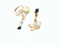 Sepodonium chrysospermum (Bull.) , Goldschimmel