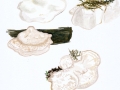 Oligoporus stipticus (Pers.) Gilb. & Ryv. , Bitterer Saftporling