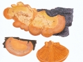 Phyllotopsis nidulans (Pers.: Fr.) Sing. , Orange-Seitling