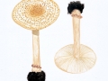 Lepiota aspera fm. albinea (Réaudin) Ludw., comb. nov. , Großer Stachelschirmling , helle Form