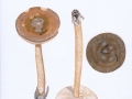 Amanita submembranacea (Bon) Gröger , Grauhäutiger Scheidenstreifling