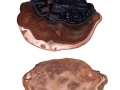 Ganoderma resinaceum Boud. , Harziger Lackporling
