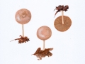 Gymnopus peronatus (Bolton : Fr.) Antonin , Halling & Noordel. , Brennender Rübling