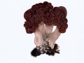 Gyromitra  esculenta (Pers.: Fr.) Fr. , Frühjahrs-Giftlorchel