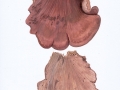 Lentinellus vulpinus (Sow.: Fr.) Kühner & Maire , Fuchs-Zähling , Fuchsroter Zähling , NPH