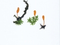 Mitrula paludosa Fr. , Sumpf-Haubenpilz