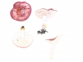Russula nauseosa, (Pers.) Fr. , Geriefter Weich-Täubling , NPH
