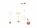 Agaricus comtulus  Fr. , Weißgelblicher Zwergchampignon, Triften-Zwergchampignon, Wiesem-Zwergegerling