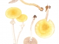 Agrocybe praecox (Pers.: Fr.) Fayod , Voreilender Ackerling, Voreilender Erdschüppling, Frühlings-Ackerling
