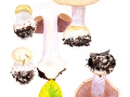 Cortinarius (Phleg.) anserinus (Velen.) Hry. , Buchen-Klumpfuß