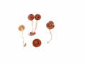 Cortinarius (Tel.) spec. 11
