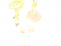 Hygrophorus chrysodon (Batsch: Fr.) Fr. , Goldzahn-Schneckling