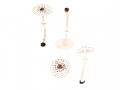 Lepiota felina (Pers.) Karst. , Schwarzschuppiger Schirmling