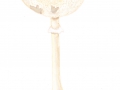 Macrolepiota mastoidea (Fr.) Sing. , Zitzen-Riesenschirmling