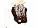 Mycena arcangeliana Bres. , Olivgrauer Helmling, Olivlicher Helmling