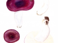 Russula romellii  Maire , Weißstieliger Leder-Täubling, Rotweißer Täubling