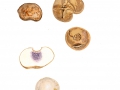 Scleroderma bovista Fr. , Gelbflockiger Kartoffelbovist