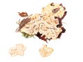 Climacodon-septentrionalis (Fr.: Fr.) Karst. , Nördlicher Stachelseitling