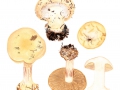 Cortinarius (Phleg.) corrosus Fr. , Vergrabener Klumpfuß
