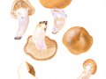 Cortinarius (Phleg.) patibilis Brandrud & Melot , Braunverfärbender Schleimkopf , Krummstieliger Schleimkopf