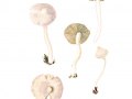 Inocybe-geophylla-var.-geophylla (Sow.: Fr.) Kumm. var. geophylla , Erdblättriger Risspilz , Seidiger Risspilz