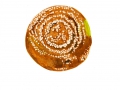 Monilinia fructigena (Pers.) Honey , Apfelfruchtfäule , Fruchtfäule