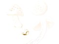 Amanita lividopallescens Gillet , Natternstieliger Scheidenstreifling