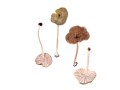 Entoloma juncinum  (Kühner & Romagn.) Noordel. , Rundlichsporiger Rötling . Grobgeriefter Rötling , Binsenstieliger Rötling