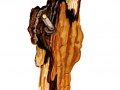 Fuscoporia ferruginosa (Schrad.: Fr.) Murrill , Rostbrauner Feuerschwamm