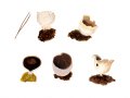 Helvella leucomelaena (Pers.) Nannf. , Schwarzweiße Becher-Lorchel , Schwarzweißer Rippenbecherling
