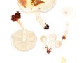 Pholiota lenta (Pers.: Fr.) Singer , Tonblasser Schüppling