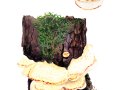 Postia fragilis (Fr.) Jülich , Braunfleckender Saftporling , Fleckender Saftporling , Braunfleckender Fichten-Saftporling