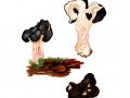Pseudorhizina sphaerospora (Peck) Pouzar , Rundsporige Lorchel , Nadelholz-Scheinlorchel , Rundsporige Nadelholz-Scheinlorchel