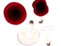 Russula atropurpurea (Krombh.) Britzelm. , Purpurschwarzer Täubling