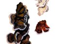 Chondrostereum purpureum (Pers.: Fr.) Pouzar , Violetter Knorpelschichtpilz