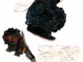 Inonotus obliquus (Pers.: Fr.) Pilát , Schiefer Schillerporling , imperfekte Form