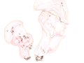 Mycogona rosea Link , Rosa Schimmelpilz auf Amanita caesarea 2