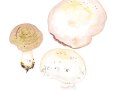 Agaricus pseudopratensis (Bohus) Wasser , Falscher Wiesen-Egerling