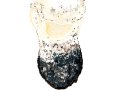 Amanita ovoidea (Bull.: Fr.) Link , Echter Eier-Wulstling