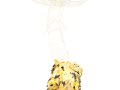 Amanita proxima  Dumée , Ockerscheidiger Eier-Wulstling
