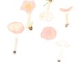 Calocybe  carnea (Bull.: Fr.) Donk , Fleischrötlicher Schönkopf
