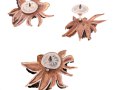 Geastrum pectinatum  Pers.: Pers. , Kamm-Erdstern
