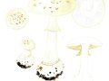 Amanita citrina (Schaeff.) Pers. , Gelber Knollenblätterpilz