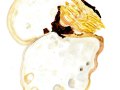 Fomitopsis betulina (Bull.) B. K. Cui, M. L. Han & Y.C. Dai , Birkenporling