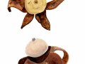 Geastrum fimbriatum Fr. , Gewimperter Erdstern