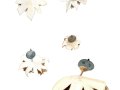 Geastrum pectinatum Pers. , Kamm-Erdstern